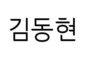 KPOP MXM(엠엑스엠、エムエックスエム) 김동현 (ドンヒョン) コンサート用　応援ボード・うちわ　韓国語/ハングル文字型紙 通常