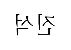 KPOP MYNAME(마이네임、マイネーム) 채진 (チェジン) 応援ボード・うちわ　韓国語/ハングル文字型紙 左右反転