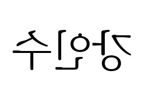 KPOP MYNAME(마이네임、マイネーム) 인수 (インス) 応援ボード・うちわ　韓国語/ハングル文字型紙 左右反転
