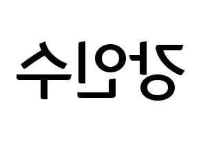 KPOP MYNAME(마이네임、マイネーム) 인수 (インス) k-pop アイドル名前 ファンサボード 型紙 左右反転