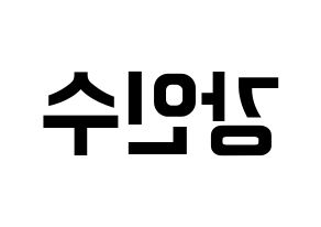 KPOP MYNAME(마이네임、マイネーム) 인수 (インス) k-pop アイドル名前 ファンサボード 型紙 左右反転