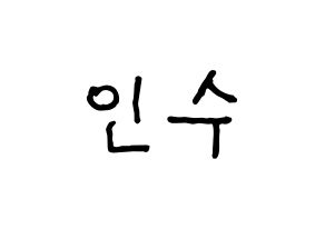 KPOP MYNAME(마이네임、マイネーム) 인수 (インス) k-pop アイドル名前 ファンサボード 型紙 通常