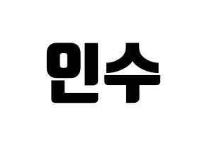 KPOP MYNAME(마이네임、マイネーム) 인수 (インス) コンサート用　応援ボード・うちわ　韓国語/ハングル文字型紙 通常