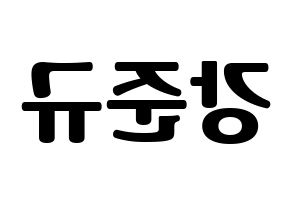 KPOP MYNAME(마이네임、マイネーム) 준Q (ジュンQ) コンサート用　応援ボード・うちわ　韓国語/ハングル文字型紙 左右反転