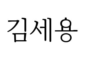 KPOP MYNAME(마이네임、マイネーム) 세용 (セヨン) 応援ボード・うちわ　韓国語/ハングル文字型紙 通常
