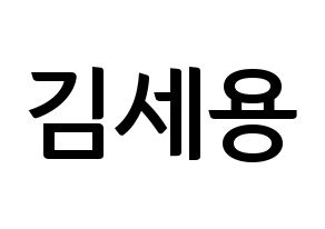 KPOP MYNAME(마이네임、マイネーム) 세용 (セヨン) k-pop アイドル名前 ファンサボード 型紙 通常