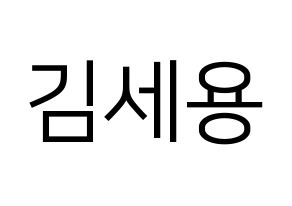 KPOP MYNAME(마이네임、マイネーム) 세용 (セヨン) プリント用応援ボード型紙、うちわ型紙　韓国語/ハングル文字型紙 通常