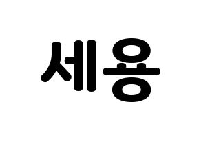 KPOP MYNAME(마이네임、マイネーム) 세용 (セヨン) 応援ボード・うちわ　韓国語/ハングル文字型紙 通常