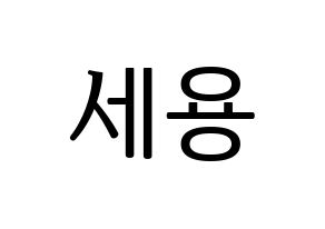 KPOP MYNAME(마이네임、マイネーム) 세용 (セヨン) プリント用応援ボード型紙、うちわ型紙　韓国語/ハングル文字型紙 通常