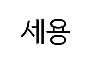 KPOP MYNAME(마이네임、マイネーム) 세용 (セヨン) コンサート用　応援ボード・うちわ　韓国語/ハングル文字型紙 通常