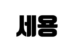 KPOP MYNAME(마이네임、マイネーム) 세용 (セヨン) コンサート用　応援ボード・うちわ　韓国語/ハングル文字型紙 通常