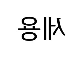 KPOP MYNAME(마이네임、マイネーム) 세용 (セヨン) プリント用応援ボード型紙、うちわ型紙　韓国語/ハングル文字型紙 左右反転