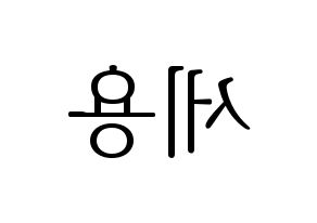 KPOP MYNAME(마이네임、マイネーム) 세용 (セヨン) 応援ボード・うちわ　韓国語/ハングル文字型紙 左右反転