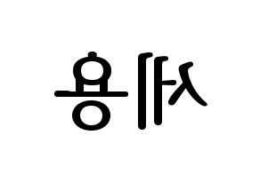 KPOP MYNAME(마이네임、マイネーム) 세용 (セヨン) プリント用応援ボード型紙、うちわ型紙　韓国語/ハングル文字型紙 左右反転