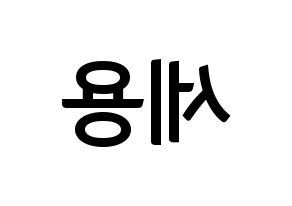 KPOP MYNAME(마이네임、マイネーム) 세용 (セヨン) k-pop アイドル名前 ファンサボード 型紙 左右反転