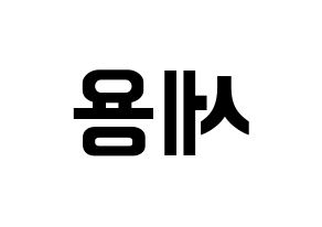 KPOP MYNAME(마이네임、マイネーム) 세용 (セヨン) k-pop アイドル名前 ファンサボード 型紙 左右反転