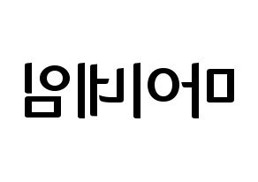 KPOP MYNAME(마이네임、マイネーム) k-pop ファンサ ボード 型紙 左右反転