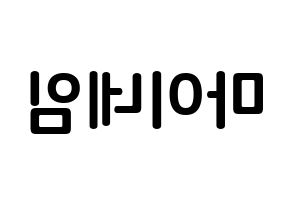KPOP MYNAME(마이네임、マイネーム) k-pop ボード ハングル表記 言葉 左右反転
