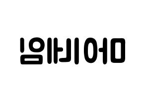 KPOP歌手 MYNAME(마이네임、マイネーム) 応援ボード型紙、うちわ型紙　韓国語/ハングル文字 左右反転