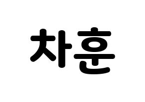 KPOP N.Flying(엔플라잉、エヌフライング) 차훈 (チャフン) 応援ボード・うちわ　韓国語/ハングル文字型紙 通常