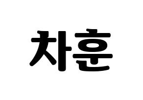 KPOP N.Flying(엔플라잉、エヌフライング) 차훈 (チャフン) コンサート用　応援ボード・うちわ　韓国語/ハングル文字型紙 通常