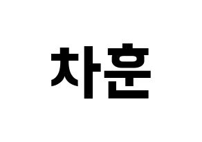 KPOP N.Flying(엔플라잉、エヌフライング) 차훈 (チャフン) k-pop アイドル名前 ファンサボード 型紙 通常