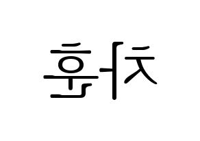 KPOP N.Flying(엔플라잉、エヌフライング) 차훈 (チャフン) 応援ボード・うちわ　韓国語/ハングル文字型紙 左右反転