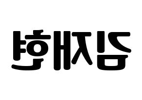 KPOP N.Flying(엔플라잉、エヌフライング) 김재현 (ジェヒョン) コンサート用　応援ボード・うちわ　韓国語/ハングル文字型紙 左右反転