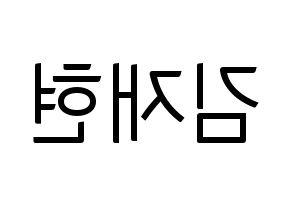 KPOP N.Flying(엔플라잉、エヌフライング) 김재현 (ジェヒョン) コンサート用　応援ボード・うちわ　韓国語/ハングル文字型紙 左右反転