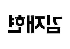 KPOP N.Flying(엔플라잉、エヌフライング) 김재현 (ジェヒョン) k-pop アイドル名前 ファンサボード 型紙 左右反転