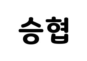 KPOP N.Flying(엔플라잉、エヌフライング) 이승협 (スンヒョプ) 応援ボード・うちわ　韓国語/ハングル文字型紙 通常