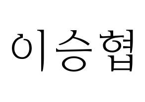 KPOP N.Flying(엔플라잉、エヌフライング) 이승협 (スンヒョプ) 応援ボード・うちわ　韓国語/ハングル文字型紙 通常