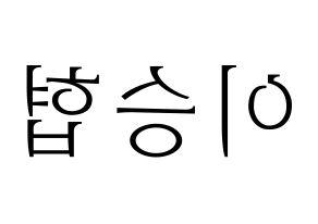 KPOP N.Flying(엔플라잉、エヌフライング) 이승협 (スンヒョプ) 応援ボード・うちわ　韓国語/ハングル文字型紙 左右反転