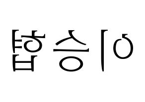 KPOP N.Flying(엔플라잉、エヌフライング) 이승협 (スンヒョプ) 応援ボード・うちわ　韓国語/ハングル文字型紙 左右反転
