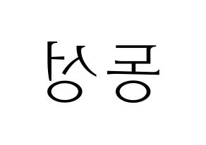 KPOP N.Flying(엔플라잉、エヌフライング) 서동성 (ドンソン) 応援ボード・うちわ　韓国語/ハングル文字型紙 左右反転