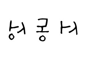 KPOP N.Flying(엔플라잉、エヌフライング) 서동성 (ソ・ドンソン, ドンソン) 無料サイン会用、イベント会用応援ボード型紙 左右反転