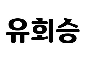 KPOP N.Flying(엔플라잉、エヌフライング) 유회승 (フェスン) コンサート用　応援ボード・うちわ　韓国語/ハングル文字型紙 通常