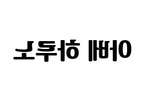 KPOP NATURE(네이처、ネイチャー) 하루 (ハル) コンサート用　応援ボード・うちわ　韓国語/ハングル文字型紙 左右反転