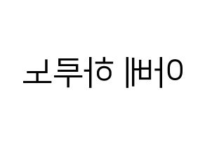 KPOP NATURE(네이처、ネイチャー) 하루 (ハル) プリント用応援ボード型紙、うちわ型紙　韓国語/ハングル文字型紙 左右反転