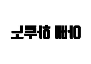 KPOP NATURE(네이처、ネイチャー) 하루 (ハル) コンサート用　応援ボード・うちわ　韓国語/ハングル文字型紙 左右反転