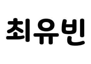 KPOP NATURE(네이처、ネイチャー) 채빈 (チェビン) 応援ボード・うちわ　韓国語/ハングル文字型紙 通常