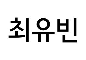 KPOP NATURE(네이처、ネイチャー) 채빈 (チェ・ユビン, チェビン) 無料サイン会用、イベント会用応援ボード型紙 通常