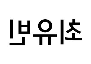 KPOP NATURE(네이처、ネイチャー) 채빈 (チェ・ユビン, チェビン) 無料サイン会用、イベント会用応援ボード型紙 左右反転