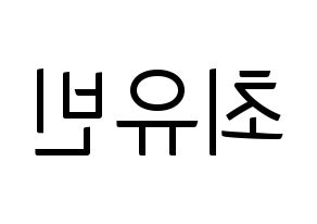 KPOP NATURE(네이처、ネイチャー) 채빈 (チェビン) コンサート用　応援ボード・うちわ　韓国語/ハングル文字型紙 左右反転