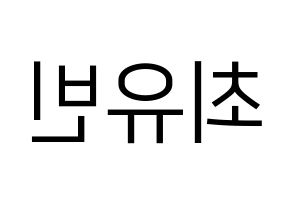 KPOP NATURE(네이처、ネイチャー) 채빈 (チェビン) プリント用応援ボード型紙、うちわ型紙　韓国語/ハングル文字型紙 左右反転
