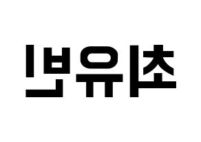 KPOP NATURE(네이처、ネイチャー) 채빈 (チェビン) k-pop アイドル名前 ファンサボード 型紙 左右反転