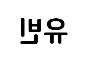KPOP NATURE(네이처、ネイチャー) 채빈 (チェ・ユビン, チェビン) k-pop アイドル名前　ボード 言葉 左右反転