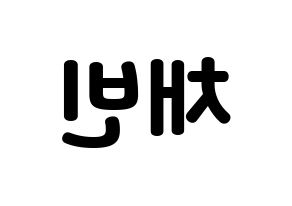 KPOP NATURE(네이처、ネイチャー) 채빈 (チェビン) 応援ボード・うちわ　韓国語/ハングル文字型紙 左右反転