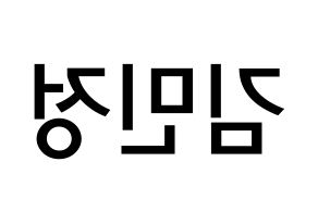 KPOP NATURE(네이처、ネイチャー) 선샤인 (キム・ミンジョン, サンシャイン) 無料サイン会用、イベント会用応援ボード型紙 左右反転