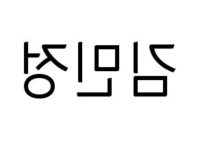 KPOP NATURE(네이처、ネイチャー) 선샤인 (サンシャイン) コンサート用　応援ボード・うちわ　韓国語/ハングル文字型紙 左右反転